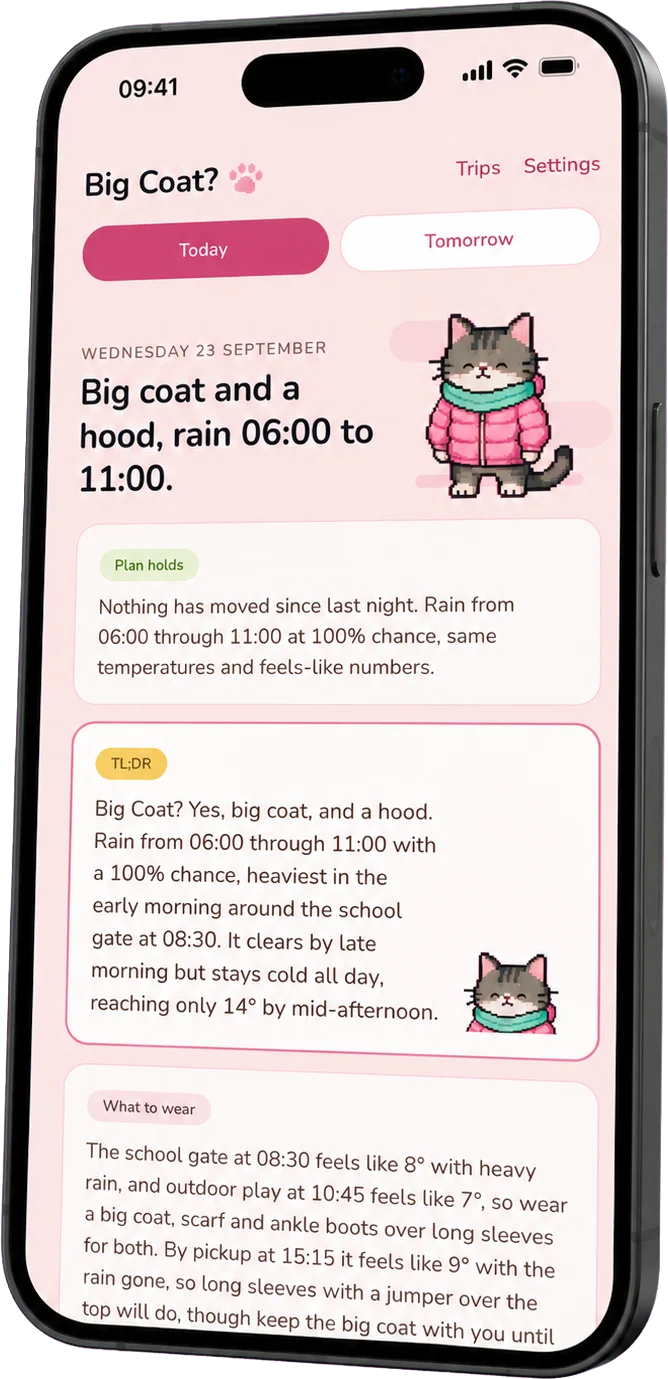 The morning brief on a phone: big coat and a hood, rain
          06:00 to 11:00, with the cat in a pink padded coat and scarf.